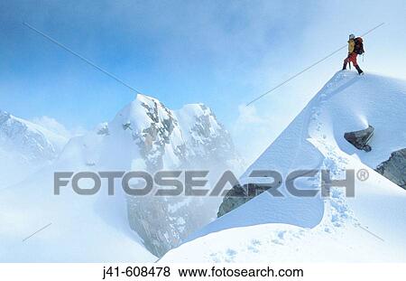 Fox Glacier. Westland National Park. Southern Alps. New Zealand View Large Photo Image Stock Photo - Fox Glacier. Westland National Park. Southern Alps. New Zealand. Fotosearch