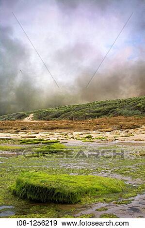 France, 85, Jard sur Mer: Beach Veillon View Large Photo Image Stock Photo - France, 85, Jard sur Mer: Beach Veillon. Fotosearch