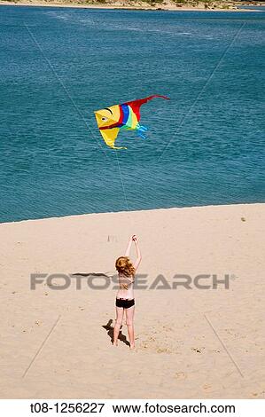 France, 85, Talmont Saint Hilaire: Veillon beach, kite View Large Photo Image Stock Photo - France, 85, Talmont Saint Hilaire: Veillon beach, kite. Fotosearch
