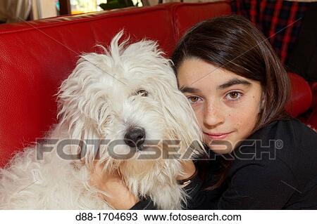 France, Alpes Maritimes, Mandelieu, Girl with a Coton de Tulear. View Large Photo Image Stock Image - France, Alpes Maritimes, Mandelieu, Girl with a Coton de Tulear.. Fotosearch