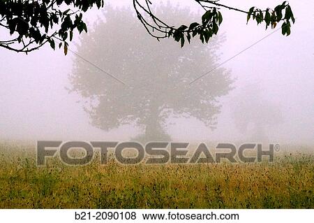 France. Aquitaine. Dordogne. morning with fog. View Large Photo Image Stock Photo - France. Aquitaine. Dordogne. morning with fog.. Fotosearch