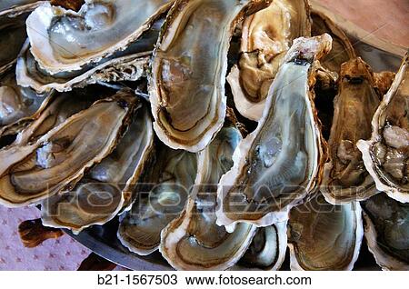 France, Aquitaine, Gironde, Food:? Huitres fines? oysters. View Large Photo Image Stock Image - France, Aquitaine, Gironde, Food:? Huitres fines? oysters.. Fotosearch