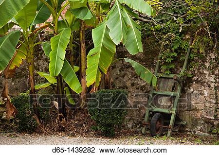 France, Aquitaine Region, Gironde Department, St-Emilion, wine town, garden detail View Large Photo Image Stock Image - France, Aquitaine Region, Gironde Department, St-Emilion, wine town, garden detail. Fotosearch