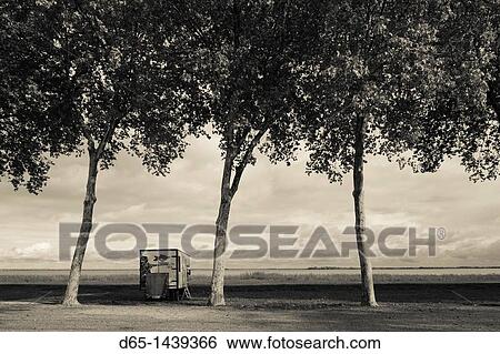 France, Aquitaine Region, Gironde Department, Haute-Medoc Area, Pauillac, tree-lined road by the Gironde River, autumn View Large Photo Image Stock Photograph - France, Aquitaine Region, Gironde Department, Haute-Medoc Area, Pauillac, tree-lined road by the Gironde River, autumn. Fotosearch