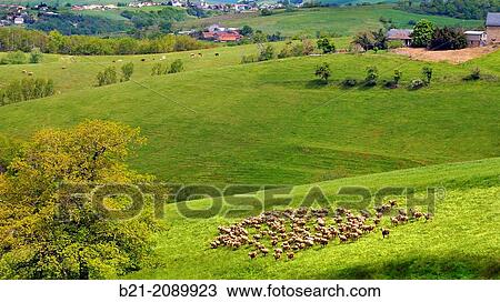 France. Auvergne. Cantal. Landscape near Maurs. View Large Photo Image Stock Image - France. Auvergne. Cantal. Landscape near Maurs.. Fotosearch