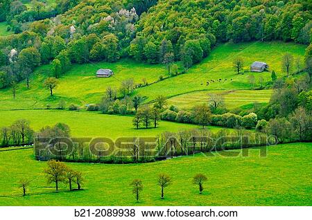 France. Auvergne. Cantal. Maronne valley, by Salers. View Large Photo Image Stock Photo - France. Auvergne. Cantal. Maronne valley, by Salers.. Fotosearch