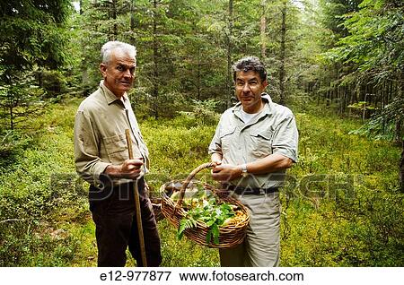 Stock Photo - France, Auvergne, Haute Loire, Saint Bonnet le Froid, Restaurant R? gis & Jacques Marcon, mushrooms harvest with mycologist Gilles Li? ge and Regis Marcon.. Fotosearch