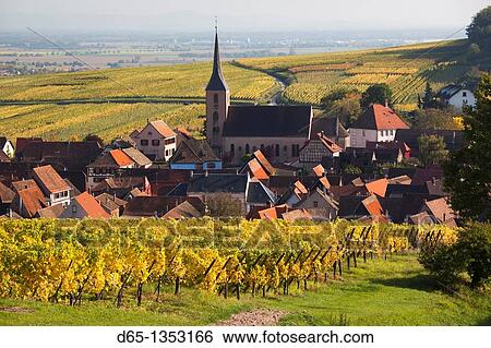 France, Bas-Rhin, Alsace Region, Alasatian Wine Route, Blienschwiller, town overview from vineyards, autumn View Large Photo Image Stock Photograph - France, Bas-Rhin, Alsace Region, Alasatian Wine Route, Blienschwiller, town overview from vineyards, autumn. Fotosearch
