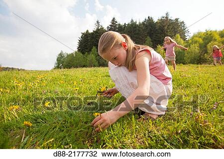 France, Bas Rhin, Urbeis near the Climont, girl in a meadow. View Large Photo Image Stock Image - France, Bas Rhin, Urbeis near the Climont, girl in a meadow.. Fotosearch