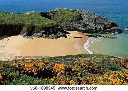 France, Bretagne/Brittany, Morbihan, Belle-Ile, Paluden Beach at Atlantic Ocean View Large Photo Image Stock Photo - France, Bretagne/Brittany, Morbihan, Belle-Ile, Paluden Beach at Atlantic Ocean. Fotosearch