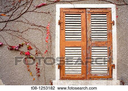 France, Burgundy, givry: shutters and ivy View Large Photo Image Stock Image - France, Burgundy, givry: shutters and ivy. Fotosearch