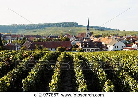 France, Champagne, Chamery village background, and Reims mountain's vineyards. View Large Photo Image Stock Photo - France, Champagne, Chamery village background, and Reims mountain's vineyards.. Fotosearch