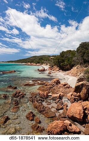 France, Corsica, Corse-du-Sud Department, Corsica South Coast Region, Baie de Rondinara bay, beach view View Large Photo Image Stock Image - France, Corsica, Corse-du-Sud Department, Corsica South Coast Region, Baie de Rondinara bay, beach view. Fotosearch