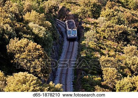 France, Corsica, Haute-Corse Department, La Balagne Region, Belgodere, elevated view of the Tramway de la Balagne train View Large Photo Image Stock Image - France, Corsica, Haute-Corse Department, La Balagne Region, Belgodere, elevated view of the Tramway de la Balagne train. Fotosearch