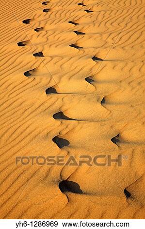 France, Gironde, Arcachon, Dune de Pyla View Large Photo Image Stock Photo - France, Gironde, Arcachon, Dune de Pyla. Fotosearch