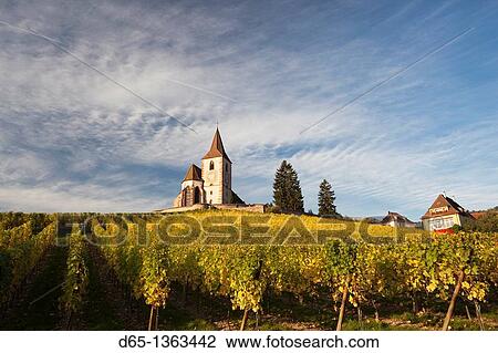 Stock Image - France, Haut-Rhin, Alsace Region, Alasatian Wine Route, Hunawihr, town church, autumn. Fotosearch