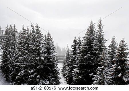 France, Haute-Savoie, Megeve in winter View Large Photo Image Stock Photograph - France, Haute-Savoie, Megeve in winter. Fotosearch