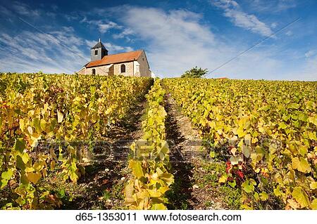 France, Marne, Champagne Ardenne, Mutigny, town church and vineyards View Large Photo Image Stock Image - France, Marne, Champagne Ardenne, Mutigny, town church and vineyards. Fotosearch