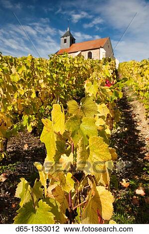 France, Marne, Champagne Ardenne, Mutigny, town church and vineyards View Large Photo Image Stock Image - France, Marne, Champagne Ardenne, Mutigny, town church and vineyards. Fotosearch