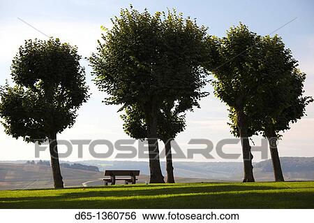 France, Marne, Champagne Region, Chatillon sur Marne, town park View Large Photo Image Stock Photograph - France, Marne, Champagne Region, Chatillon sur Marne, town park. Fotosearch