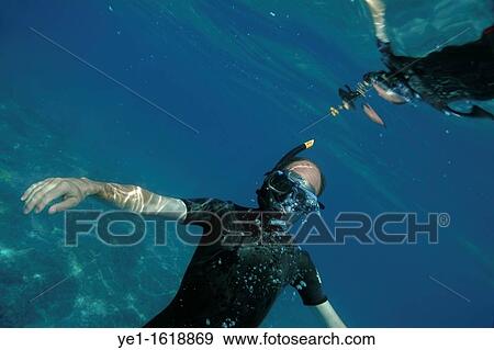 France marseille a snorkeler in the mediterranean sea View Large Photo Image Stock Photo - France marseille a snorkeler in the mediterranean sea. Fotosearch