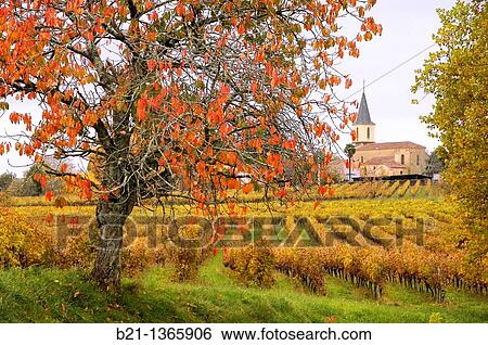 France-Midi Pyren? es-Gers- Bourouillan, in the Bas-Armagnac area. View Large Photo Image Stock Photograph - France-Midi Pyren? es-Gers- Bourouillan, in the Bas-Armagnac area.. Fotosearch