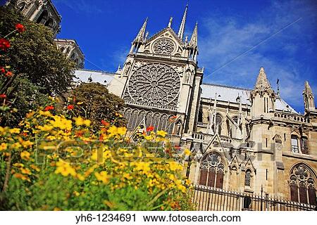 France, Paris, Notre-Dame Cathedral View Large Photo Image Stock Image - France, Paris, Notre-Dame Cathedral. Fotosearch