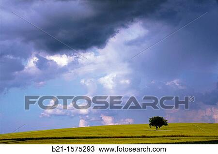 Stock Image - France, Poitou-Charentes, Vienne, landscape near Lencloitre. Fotosearch