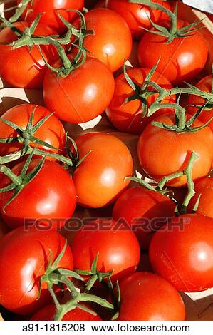 France, Provence, Alpes de Haute Provence 04, city of Greoux les bains, the sunday market View Large Photo Image Stock Photo - France, Provence, Alpes de Haute Provence 04, city of Greoux les bains, the sunday market. Fotosearch