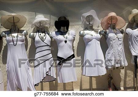 Picture - France Provence Saint Tropez. Fotosearch