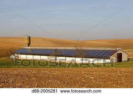 France, Siegen, poultry farming, breeding broilers in a building covered with photovoltaic panels. View Large Photo Image Stock Image - France, Siegen, poultry farming, breeding broilers in a building covered with photovoltaic panels.. Fotosearch