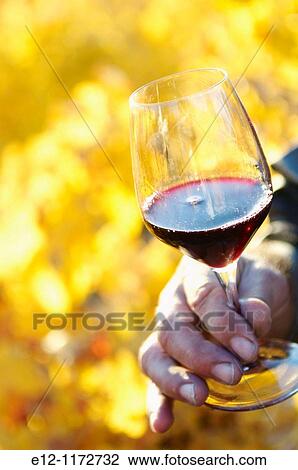 France, Vaucluse, Cairanne, wiwer Marcel Richaud, wine tasting in vineyards of his? c? te du rhone village? View Large Photo Image Stock Image - France, Vaucluse, Cairanne, wiwer Marcel Richaud, wine tasting in vineyards of his? c? te du rhone village?. Fotosearch