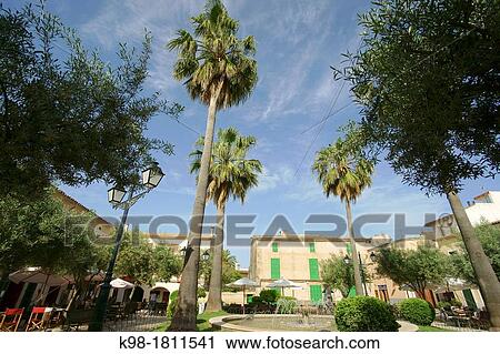 Fray Junipero Serra square, Petra, Majorca, Balearic Islands, Spain View Large Photo Image Stock Image - Fray Junipero Serra square, Petra, Majorca, Balearic Islands, Spain. Fotosearch