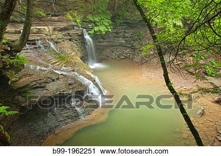 FREEDOM WATERFALL ALLEGHENY RIVER VENANGO COUNTY PENNSYLVANIA USA. View Large Photo Image Stock Image - FREEDOM WATERFALL ALLEGHENY RIVER VENANGO COUNTY PENNSYLVANIA USA.. Fotosearch