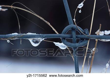 Freezing waterdrops on a fence. View Large Photo Image Stock Image - Freezing waterdrops on a fence.. Fotosearch