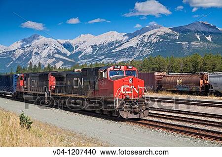 Stock Image - Freight train in the Jasper National Park in Alberta, Canada. Fotosearch