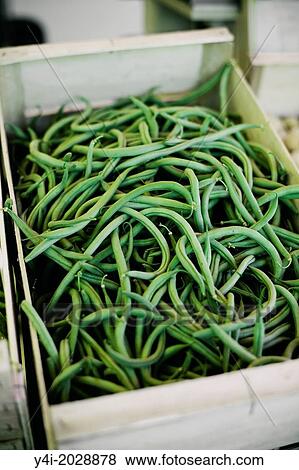 French beans. Farmers market. View Large Photo Image Stock Photo - French beans. Farmers market.. Fotosearch