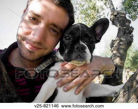 French Bulldog View Large Photo Image Stock Photograph - French Bulldog. Fotosearch