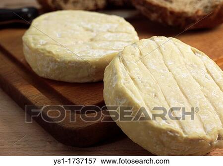 French Cheese Called Saint Marcelin, Cheese produced from Cow's Milk View Large Photo Image Stock Photo - French Cheese Called Saint Marcelin, Cheese produced from Cow's Milk. Fotosearch
