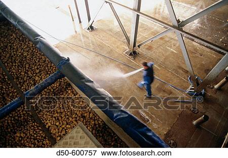 French fry factory. Steenderen. Holland View Large Photo Image Stock Photo - French fry factory. Steenderen. Holland. Fotosearch