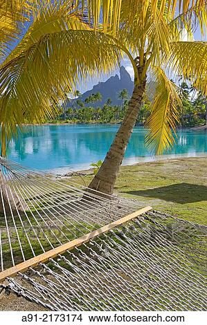 French Polynesia, Leeward archipelago, Bora Bora island, Luxury Hotel resort Saint-Regis View Large Photo Image Picture - French Polynesia, Leeward archipelago, Bora Bora island, Luxury Hotel resort Saint-Regis. Fotosearch