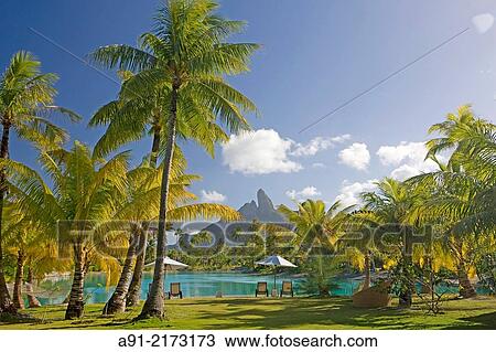 French Polynesia, Leeward archipelago, Bora Bora island, Luxury Hotel resort Saint-Regis View Large Photo Image Stock Image - French Polynesia, Leeward archipelago, Bora Bora island, Luxury Hotel resort Saint-Regis. Fotosearch