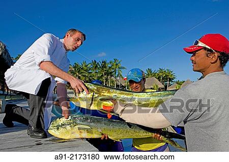 French Polynesia, Leeward archipelago, Bora Bora island, Luxury Hotel resort Saint-Regis, getting the mahi-mahi fishes caught same day at restaurant Lagon by Jean-Georges Vongerichten View Large Photo Image Stock Image - French Polynesia, Leeward archipelago, Bora Bora island, Luxury Hotel resort Saint-Regis, getting the mahi-mahi fishes caught same day at restaurant Lagon by Jean-Georges Vongerichten. Fotosearch