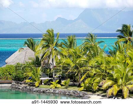 French Polynesia, leeward islands archipelago, island of Tahiti, Hotel Intercontinental shore line and Moorea island at back View Large Photo Image Stock Image - French Polynesia, leeward islands archipelago, island of Tahiti, Hotel Intercontinental shore line and Moorea island at back. Fotosearch