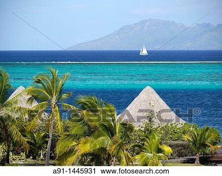 French Polynesia, leeward islands archipelago, island of Tahiti, Hotel Intercontinental shore line and Moorea island at back View Large Photo Image Stock Image - French Polynesia, leeward islands archipelago, island of Tahiti, Hotel Intercontinental shore line and Moorea island at back. Fotosearch