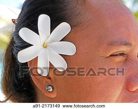 French Polynesia, Windward islands archipelago, bora bora island, Hotel and resort Meridien, plastic Tiare flower View Large Photo Image Stock Photo - French Polynesia, Windward islands archipelago, bora bora island, Hotel and resort Meridien, plastic Tiare flower. Fotosearch