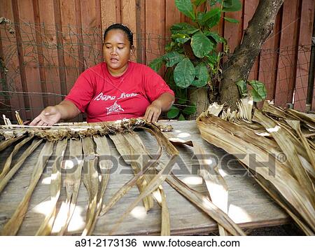French Polynesia, Windward islands archipelago, bora bora island, treating pandanus leaves for vegetal roofs View Large Photo Image Stock Photograph - French Polynesia, Windward islands archipelago, bora bora island, treating pandanus leaves for vegetal roofs. Fotosearch