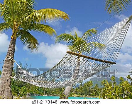 French Polynesia, Windward islands archipelago, bora bora island, Saint Regis luxury hotel and resort, hammock View Large Photo Image Stock Photograph - French Polynesia, Windward islands archipelago, bora bora island, Saint Regis luxury hotel and resort, hammock. Fotosearch