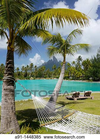 French Polynesia, Windward islands archipelago, bora bora island, Saint Regis luxury hotel and resort, hammock View Large Photo Image Stock Photography - French Polynesia, Windward islands archipelago, bora bora island, Saint Regis luxury hotel and resort, hammock. Fotosearch