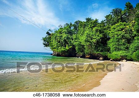 Frenchman's Cove Beach, Port Antonio, Jamaica, West Indies, Caribbean, Central America. View Large Photo Image Stock Photo - Frenchman's Cove Beach, Port Antonio, Jamaica, West Indies, Caribbean, Central America.. Fotosearch
